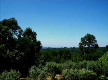 estufa caramulo